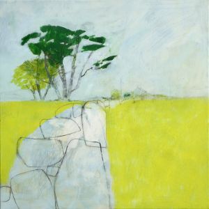 yellow fields boundary
