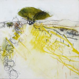 past the windswept hawthorn