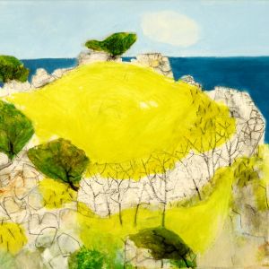 luminous meadow
